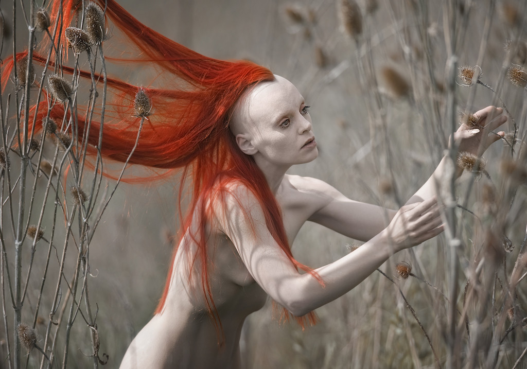 Inspire-se: Christian Martin Weiss